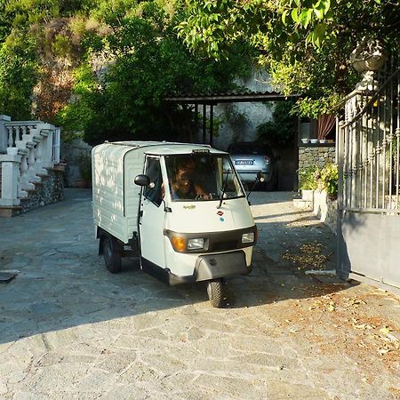 La Tana Del Tasso Ventimiglia Bed & Breakfast Ngoại thất bức ảnh