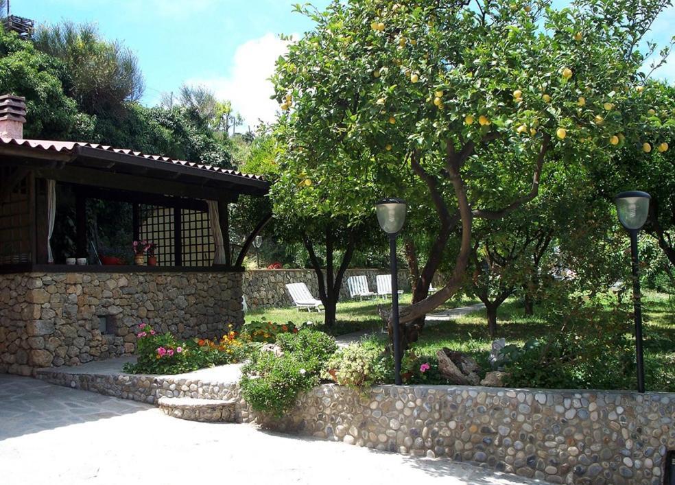 La Tana Del Tasso Ventimiglia Bed & Breakfast Ngoại thất bức ảnh