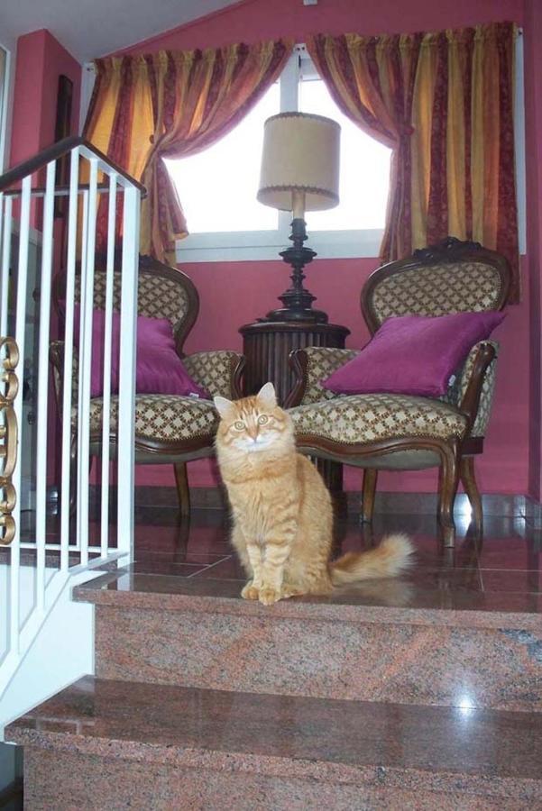 La Tana Del Tasso Ventimiglia Bed & Breakfast Ngoại thất bức ảnh